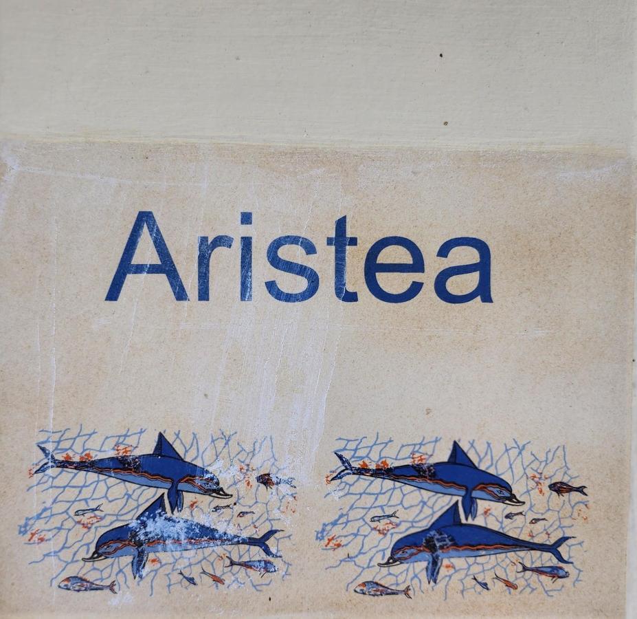 Aristea Studios Kato Korakiana Dış mekan fotoğraf