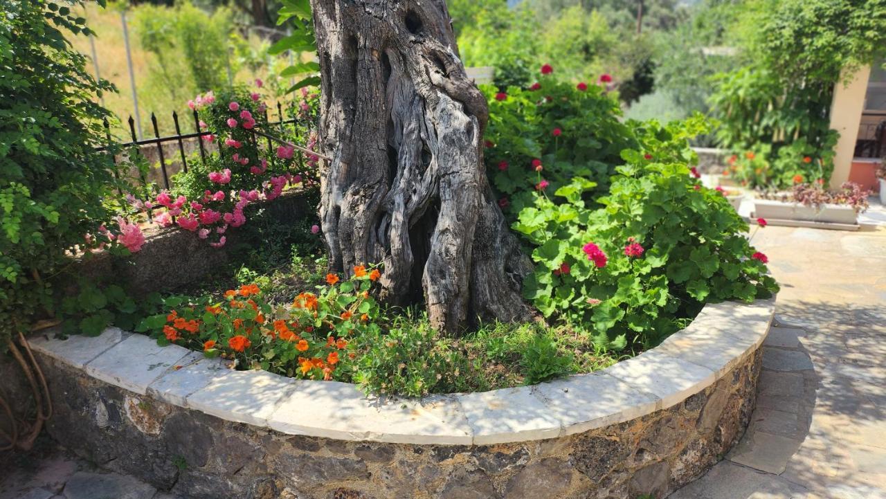 Aristea Studios Kato Korakiana Dış mekan fotoğraf