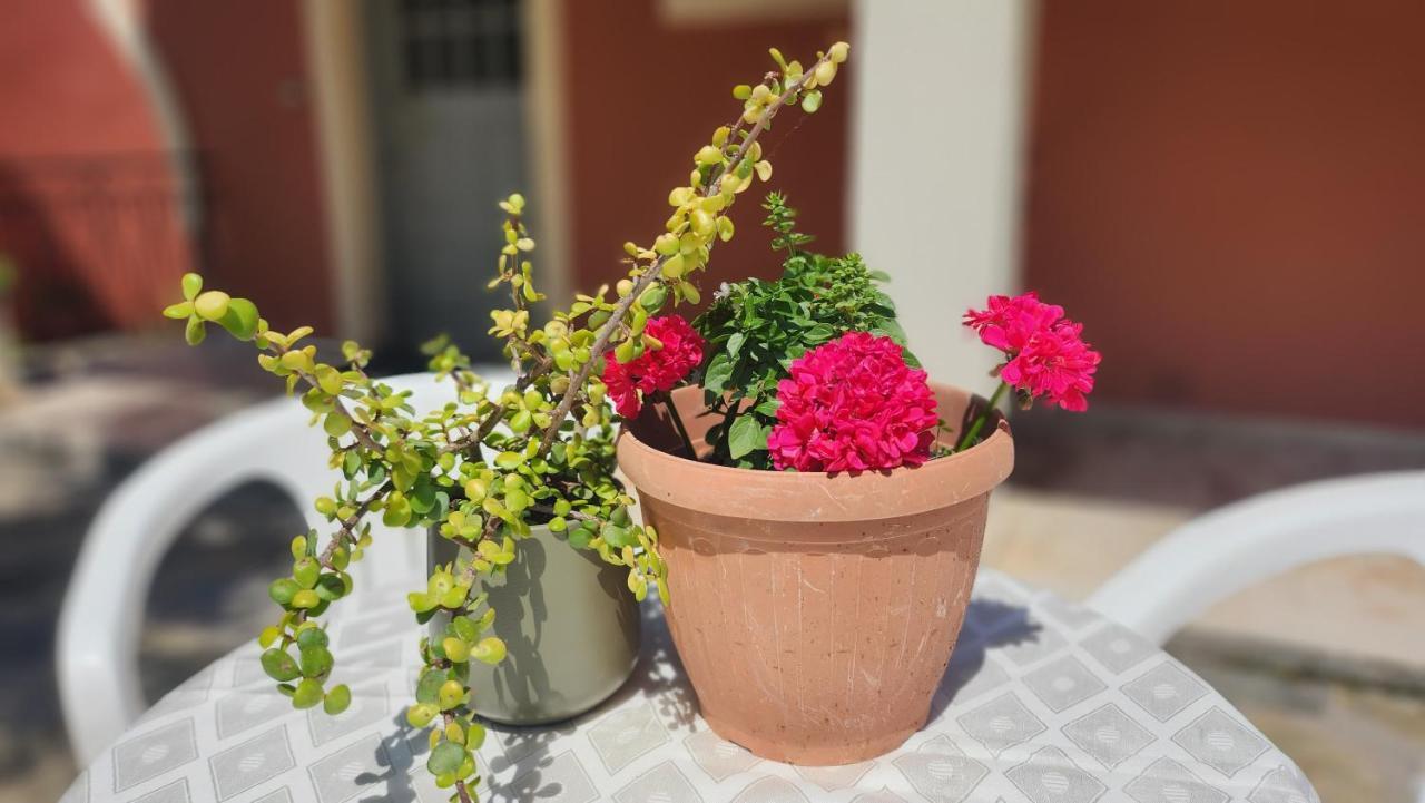 Aristea Studios Kato Korakiana Dış mekan fotoğraf