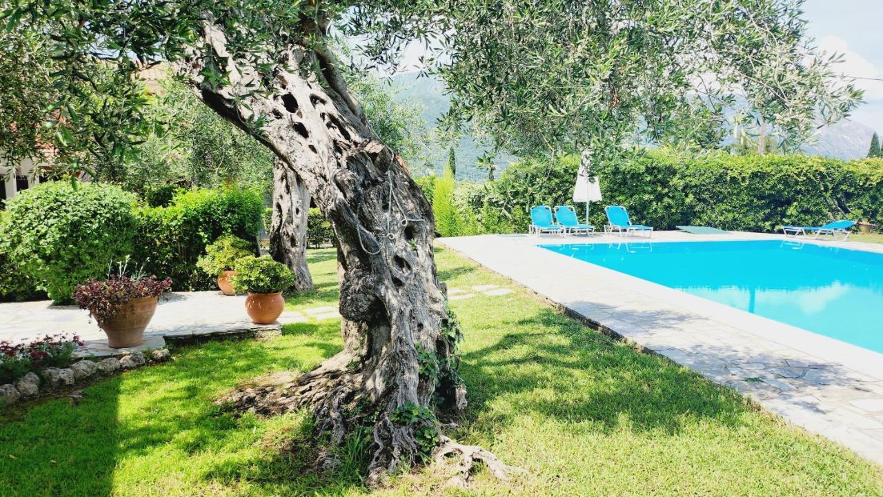 Aristea Studios Kato Korakiana Dış mekan fotoğraf