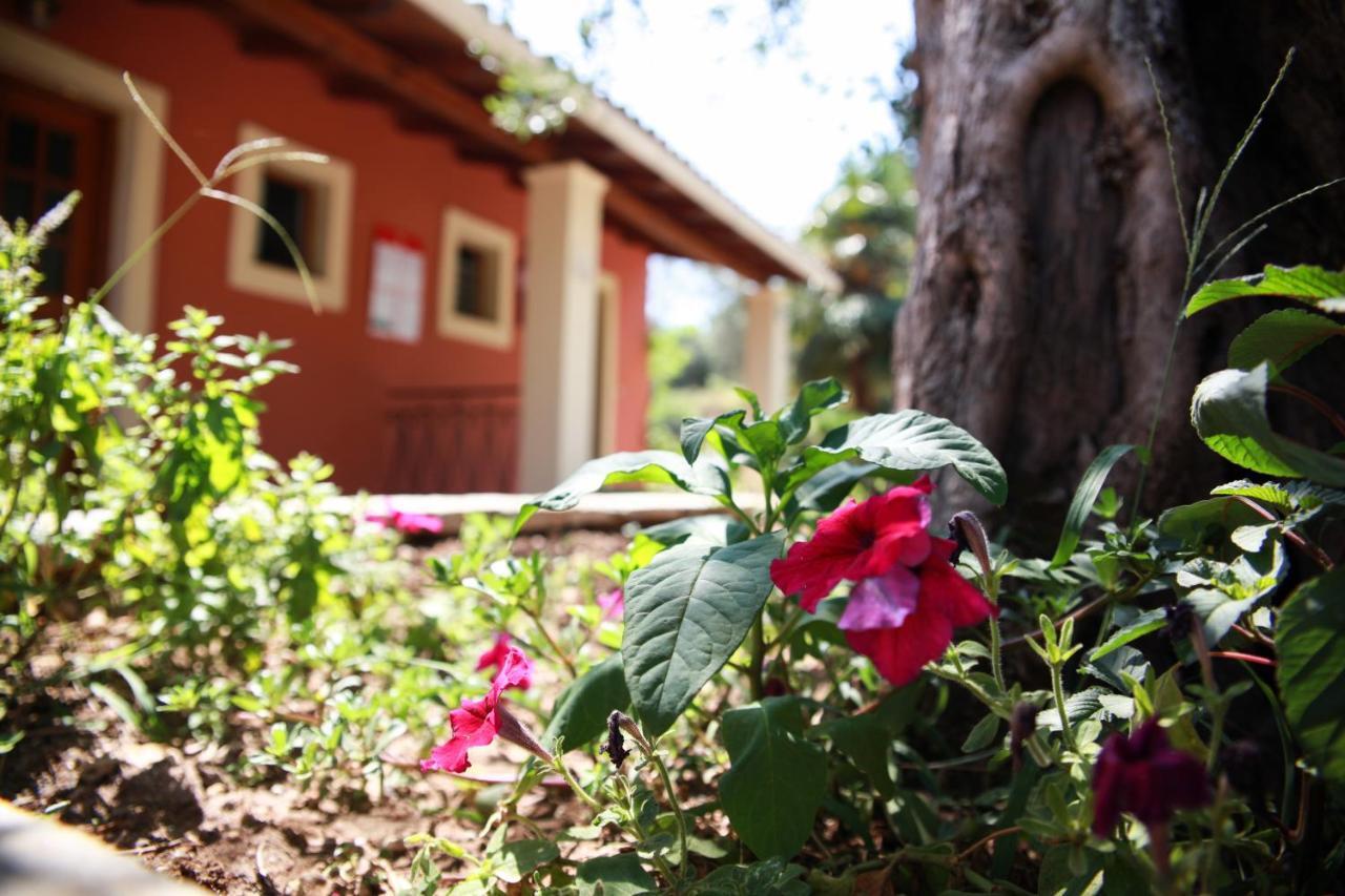 Aristea Studios Kato Korakiana Dış mekan fotoğraf